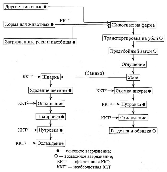 Расписать критические точки для приготовления каши