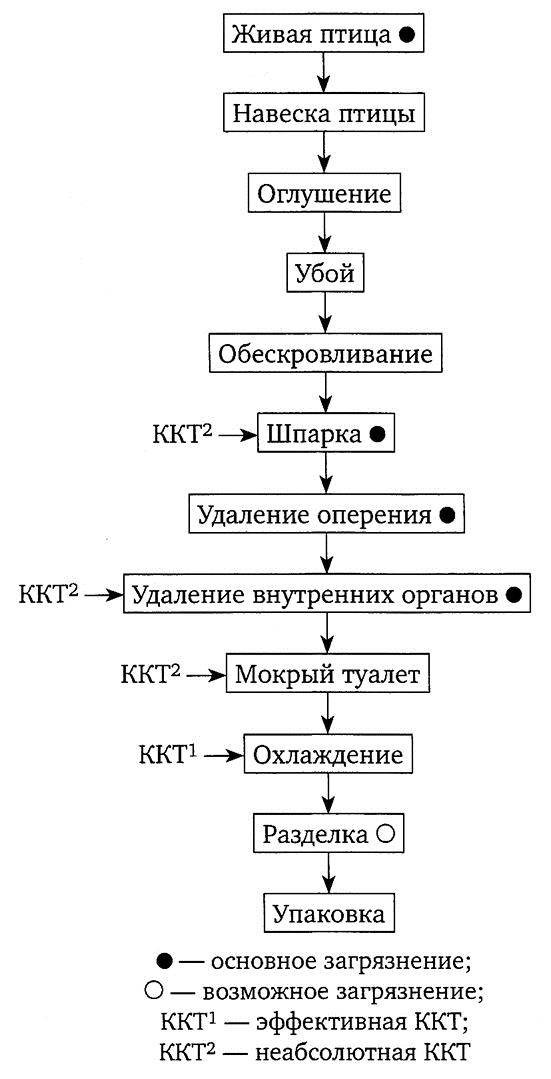 Технологическая схема процесса обработки тушки птицы замороженной полупотрошенной